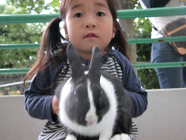 江戸川区自然動物公園の「ふれあいコーナー」でうさぎ、モルモットと触れ合い！