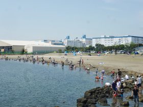 さまざまなレジャーが楽しめる「東扇島東公園 かわさきの浜」