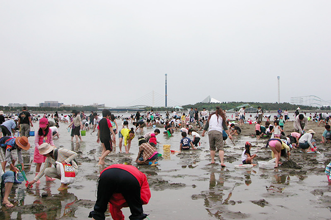 カニと戯れ子供たちも大満足！ゴールデンウィークに「横浜海の公園」で潮干狩り！「横浜海の公園」に潮干狩りに行ってきた！