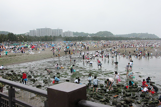 カニと戯れ子供たちも大満足！ゴールデンウィークに「横浜海の公園」で潮干狩り！「横浜海の公園」に潮干狩りに行ってきた！