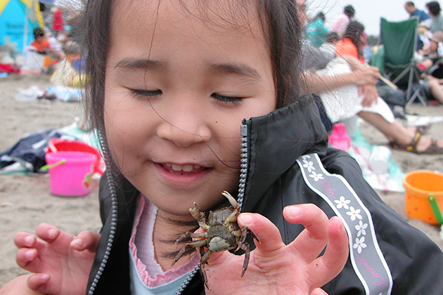 カニと戯れ子供たちも大満足！ゴールデンウィークに「横浜海の公園」で潮干狩り！「横浜海の公園」に潮干狩りに行ってきた！