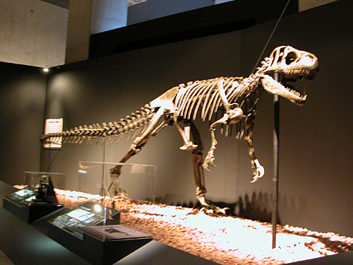 今までの常識が覆る！ 半世紀の恐竜研究の成果を紹介！子供と行きたい「恐竜博2011」に行ってきた！