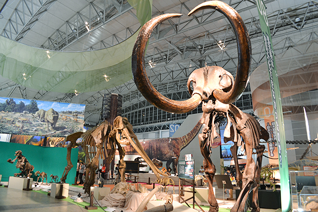 子どもにもわかりやすい恐竜骨格展示で大好評！『メガ恐竜展2015 -巨大化の謎にせまる-』に行ってきた！