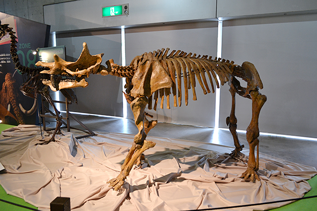 子どもにもわかりやすい恐竜骨格展示で大好評！『メガ恐竜展2015 -巨大化の謎にせまる-』に行ってきた！
