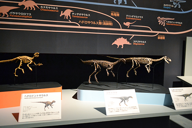子供たちに大人気！史上最大の肉食恐竜スピノサウルスとティラノサウルスが夢の競演！「恐竜博 2016」に行ってきた！