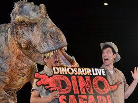 20170425_report_DINO_SAFARI_03