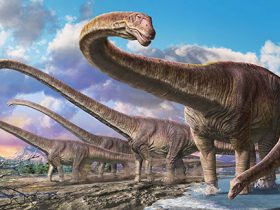 20170715_event_giga_dinosaur_01