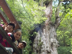 20140821_report_yakushima_00