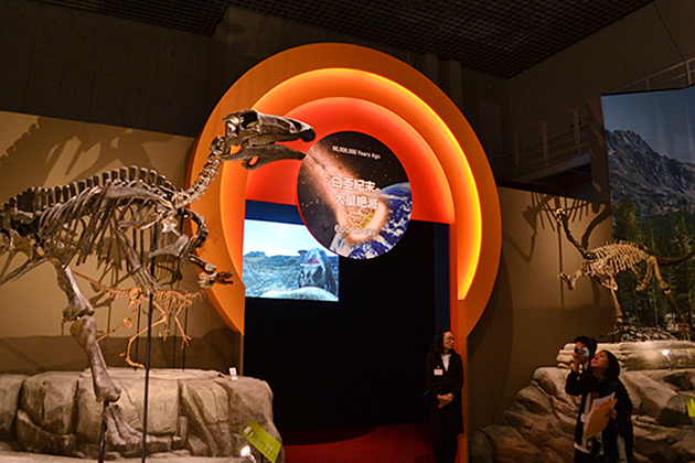 新垣結衣さんが登場！ 2015年7月7日（火）から開催！子供も楽しめる特別展「生命大躍進 脊椎動物のたどった道」に行ってきた！