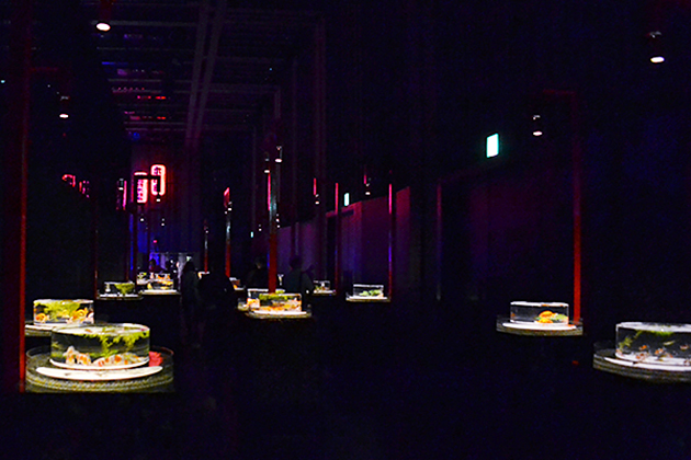 アートアクアリウム誕生10周年、圧倒的な豪華さで幻想的な非日常空間「アートアクアリウム2016 〜江戸・金魚の涼〜＆ナイトアクアリウム」に行ってきた！