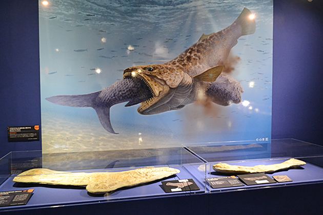 子供たち大興奮！「海のハンター展 〜恵み豊かな地球の未来〜」に行ってきた！