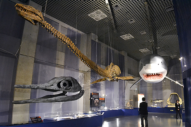 子供たち大興奮！「海のハンター展 〜恵み豊かな地球の未来〜」に行ってきた！