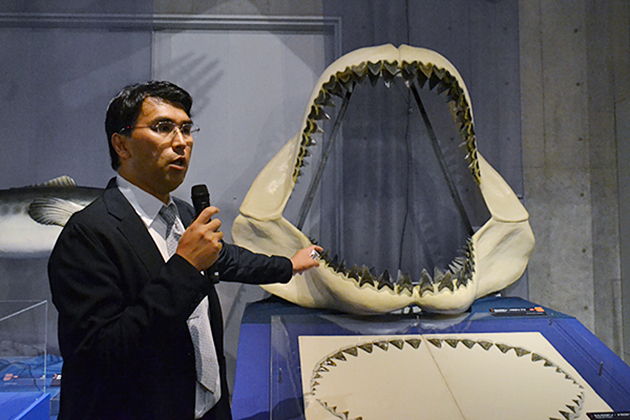 子供たち大興奮！「海のハンター展 〜恵み豊かな地球の未来〜」に行ってきた！