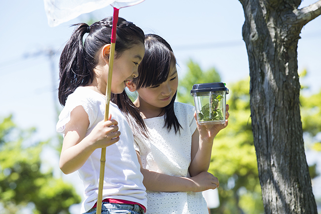 参加者募集中！ 子供の自由研究が完成する！ 夏休み自然科学体験 移動教室「昆虫博士になれる1泊2日の合宿」