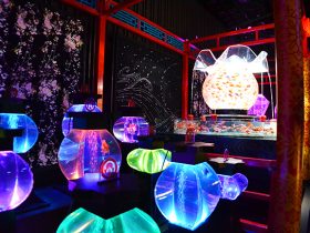 20170706_report_artaquarium2017_10