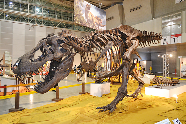 子供たちが大好きティラノサウルスも！夏休みに開催「ギガ恐竜展2017 -地球の絶対王者のなぞ-」に行ってきた！