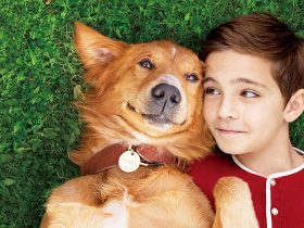 A DOG'S PURPOSE