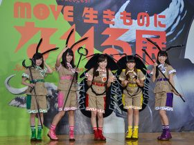 20171128_report_move_012