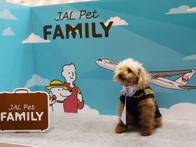 20180330_report_interpets_00