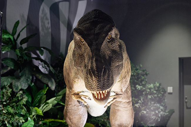 「Orbi Yokohama／オービィ横浜」がリニューアルオープン！期間限定で子供たちが大好きな恐竜アトラクション「恐竜ハンターキャンプ」が2018年4月1日（日）〜5月27日（日）まで開催！最新復元版ユタラプトル やティラノサウルスの骨格などを多数展示！恐竜くんも！