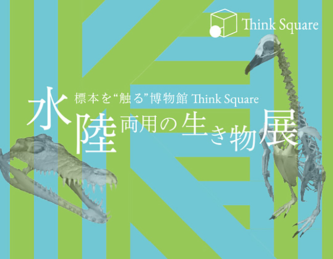 子供の知的好奇心をくすずる標本に触れる博物館「Think Square（シンクスクエア）」で2018年5月7日（月）〜13日（日）、ワニやペンギンなどの海・川と陸の双方を生活圏にする生き物の標本を展示する「水陸両用の生き物展」を開催！