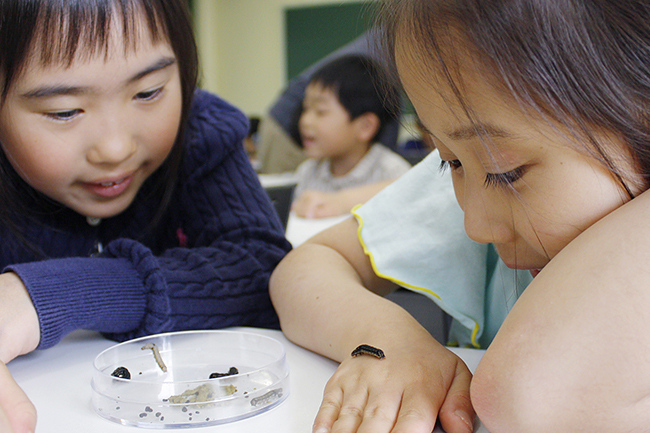 楽しみながら子供の数理感性・非認知能力を磨く無料のイベント「第7回 ダヴィンチ☆マスターズ」が2018年4月22日（日）神戸大学で開催！「ダヴィンチマスターズ」はゲームや実験などの体験型学習「アクティブラーニング」をとおして、子供の「好き！」が見つかるイベントです。