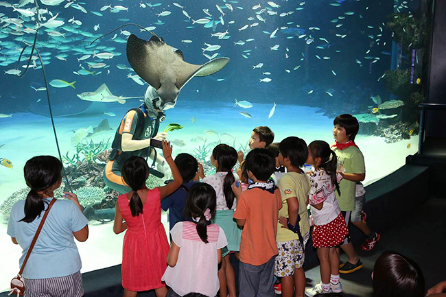 親子の参加者募集！ 2018年夏休みにサンシャイン水族館に泊まって水族館の裏側や夜の水族館見学ができる、子供たちに大人気のイベント「夜の探検隊 〜サンシャイン水族館に泊まろう！〜」が開催！2018年6月11日（月）〜24日（日）まで応募受付！昼間と違う生物の様子を親子で観察しよう！