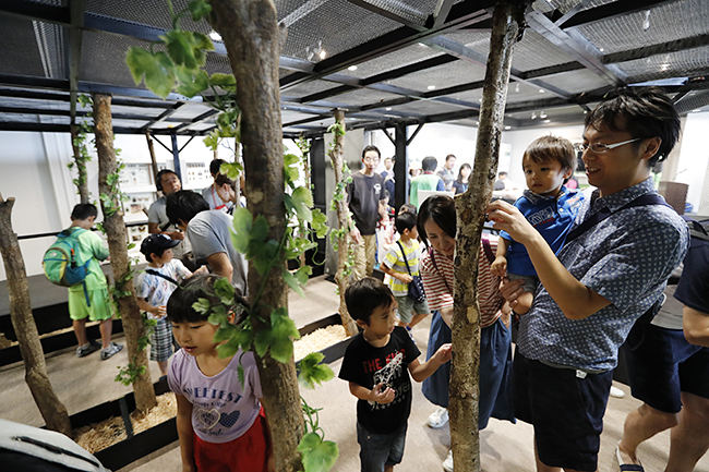 "子供たちが大好き！カブトムシと触れ合える毎年恒例の夏イベント「大昆虫展