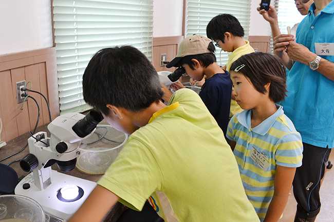 2013年7月20日（土）、公募によって集められた小学生の子供たち20名が参加したミキモトの「真珠の学校」が開校！磯での生物採集や海、真珠についてのレクチャー、そして真珠を育むアコヤ貝への「核入れ」を体験！子供たちからはたくさんの笑顔と真剣な顔が見られました！