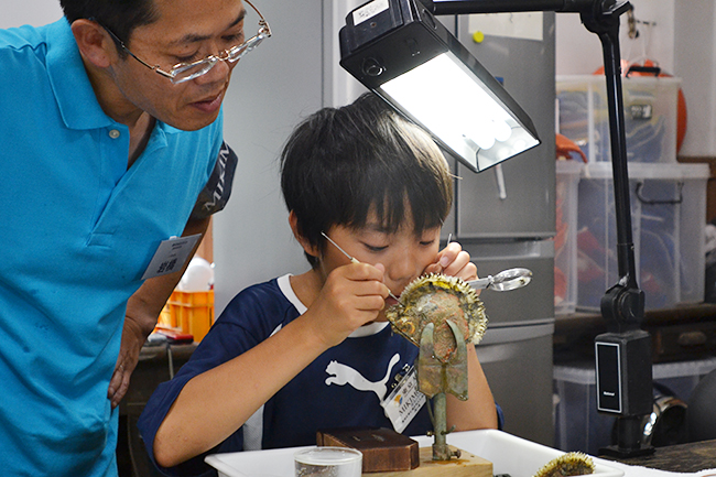 2013年7月20日（土）、公募によって集められた小学生の子供たち20名が参加したミキモトの「真珠の学校」が開校！磯での生物採集や海、真珠についてのレクチャー、そして真珠を育むアコヤ貝への「核入れ」を体験！子供たちからはたくさんの笑顔と真剣な顔が見られました！