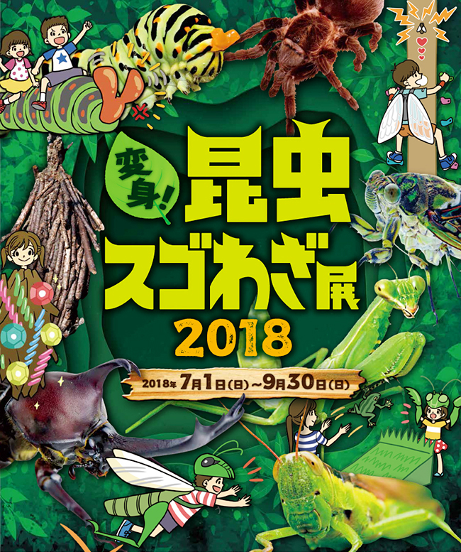 子供たちに大人気！動物とふれあえる屋内型パーク「Orbi Yokohama（オービィ横浜）」は、2018年7月1日（日）〜9月30日（日）まで『変身！昆虫スゴわざ展2018』を開催！「昆虫の世界」をテーマに、昆虫になりきってミッションに挑戦する体験型コンテンツが満載のイベントです。