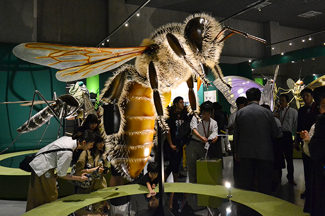 A large scale exhibition of the National Science Museum's first insect theme, a special exhibition "insect" will be held from Friday, July 13, 2018! I went to a special exhibition "insects"! Recommended insect exhibition that you can understand insect diversity, ability and charm well. This summer vacation, recommended for children as well as insect mania!