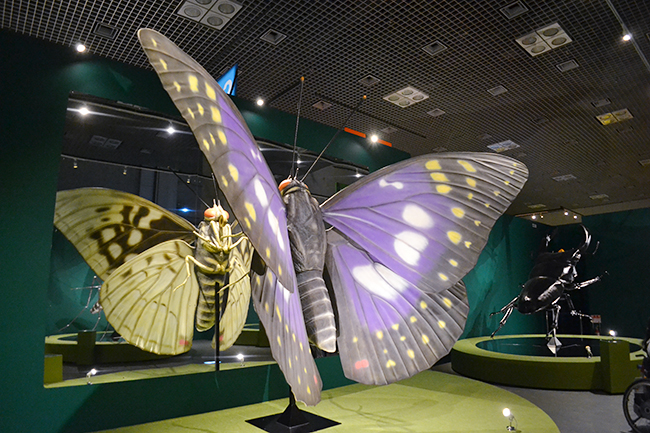 A large scale exhibition of the National Science Museum's first insect theme, a special exhibition "insect" will be held from Friday, July 13, 2018! I went to a special exhibition "insects"! Recommended insect exhibition that you can understand insect diversity, ability and charm well. This summer vacation, recommended for children as well as insect mania!