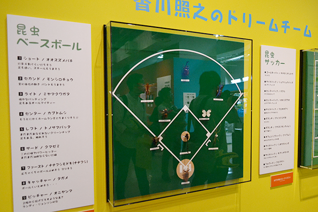 国立科学博物館 初の昆虫をテーマとした大規模展覧会、特別展「昆虫」が2018年7月13日（金）から開催！特別展「昆虫」に行ってきました！昆虫の多様性、能力、魅力がよくわかるおすすめの昆虫展。この夏休み、子供たちはもちろん昆虫マニアにもおすすめ！