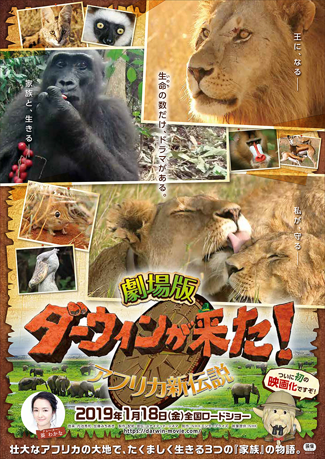 NHK総合テレビの人気動物番組「ダーウィンが来た！ 生きもの新伝説」が初の映画化！アフリカという厳しい自然の中で力強く生きるライオンとゴリラの3つの家族の姿を追った『劇場版 ダーウィンが来た！ アフリカ新伝説』が2019年1月18日（金）より全国公開！ナレーションを務めた女優の葵わかなさんに映画や映画の見どころについてインタビュー！子供はもちろん、家族一緒に観てほしい動物たちの家族の物語の映画です。