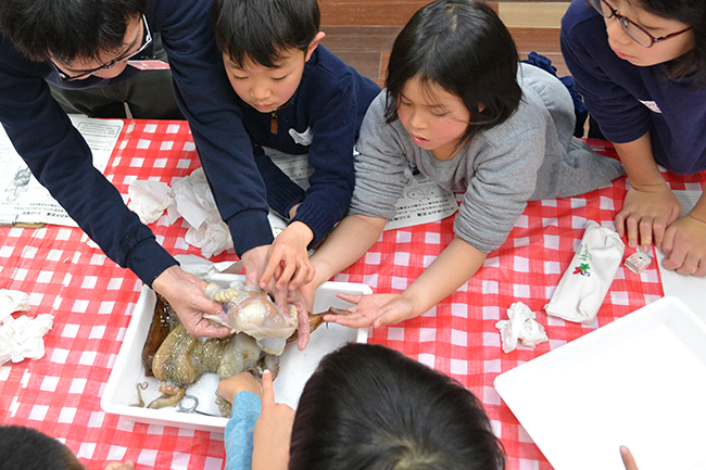 子供たち、保護者にも大好評！科学や数理イベントを行なう人気のイベント「ダヴィンチマスターズ」の第12回を2019年2月3日（日）、大阪大学 吹田キャンパス コンベンションセンターで開催！タコの解剖や絵本、顕微鏡づくりを実施！たくさんの子供たちが参加しました！