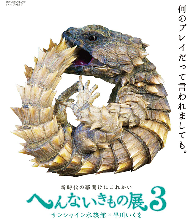 子供たちが大好きな生き物の本「へんないきもの」の特別展！第1弾・第2弾で延べ約20万人を動員した、ベストセラー「へんないきもの」の著者・早川いくを氏とのコラボレーションによる特別展「へんないきもの」の第3弾「へんないきもの展3」が、2019年3月20日（水）～7月5日（金）までサンシャイン水族館で開催！