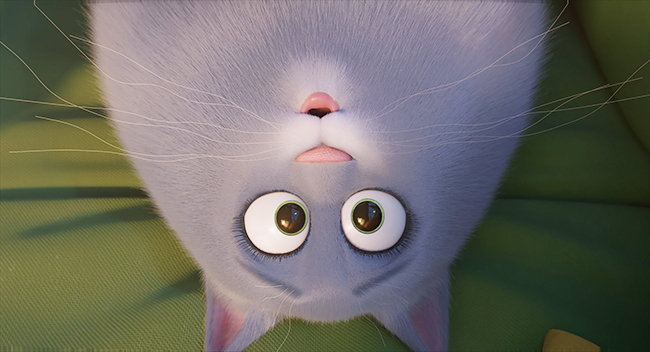 子供たちにも大人気!飼い主が留守の間ペットたちは何をしているのだろうという誰もが考えるペットたちの裏側の日常をユーモラスに描く物語と、愛くるしいペットのキャラクターが話題となり大ヒットを記録した『ペット』。その待望の続編『ペット2』が2019年夏に全国公開!