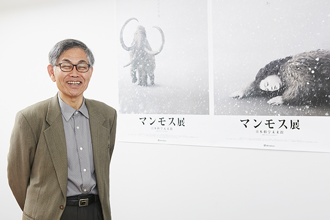 From June 7 (Fri) to November 4 (Mon, Taki), 2019, the "Mammos Exhibition" will be held at the Museum of Emerging Science and Innovation! The world premiere of frozen specimens of a large number of newly discovered archaeological animals including “Yukagill mammoth” which was exhibited at the 2005 World Exposition “Aichi Earth Expo” and was enthusiastic 7 million people! We talked with Mr. Yoichi Kondo, director of Lake Nojiri Naumanzou Museum, who oversaw paleontological biology about the highlights of the “Mammoth Exhibition”, the cause of the mammoth extinction, and the resurgence of the mammoth! "Mammoth exhibition" is an exhibition that you want to see together with your children and discuss them in various ways!