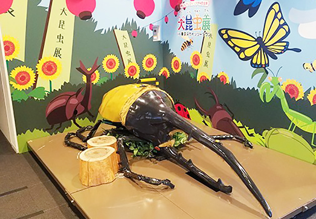 子どもたちが大好きな昆虫に、見て触れて知ることができる東京スカイツリータウン夏恒例のイベント「大昆虫展 in 東京スカイツリータウン 〜知ってビックリ！昆虫のすごい世界〜」が、2022年7月23日（土）〜9月4日（日）に開催！カブトムシとの触れ合いや昆虫食も！夏休みの自由研究にも！