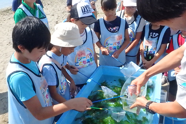 「海」「島」「生きもの」の魅力を楽しめる日本最大級の水族館「横浜・八景島シーパラダイス」では、2019年で5回目となる小学生の子供たちとその保護者を対象とした教育プログラム「シーパラこども海育塾」を、2019年6月より開講します！ ただいま、年間10回の体験型授業に参加したい塾生を大募集！