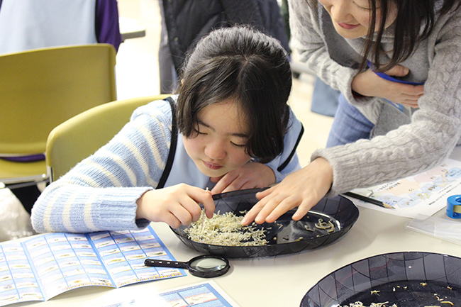 「海」「島」「生きもの」の魅力を楽しめる日本最大級の水族館「横浜・八景島シーパラダイス」では、2019年で5回目となる小学生の子供たちとその保護者を対象とした教育プログラム「シーパラこども海育塾」を、2019年6月より開講します！ ただいま、年間10回の体験型授業に参加したい塾生を大募集！