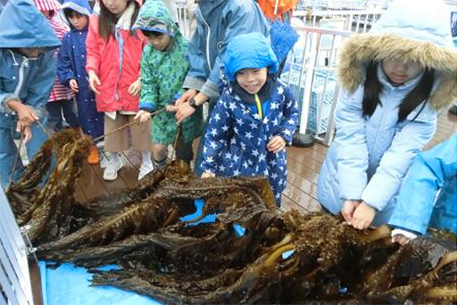 「海」「島」「生きもの」の魅力を楽しめる日本最大級の水族館「横浜・八景島シーパラダイス」では、2019年で5回目となる小学生の子供たちとその保護者を対象とした教育プログラム「シーパラこども海育塾」を、2019年6月より開講します！ ただいま、年間10回の体験型授業に参加したい塾生を大募集！