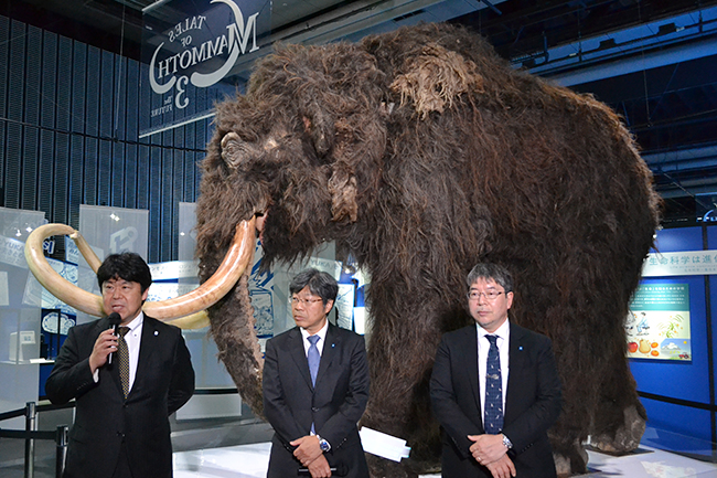 2019年6月7日（金）から日本科学未来館で企画展「マンモス展」-その『生命』は蘇るのか- が開催！ 前日に行なわれたプレス内覧会に行ってきました！マンモスをはじめ近年発掘された古代仔ウマなど世界初公開の古生物の冷凍標本が展示、その生々しさには驚きます！近畿大学の最先端生命科学による「マンモス復活プロジェクト」も合成生物学の方向へ！マンモス絶滅の原因やマンモス復活についてよくわかる展覧会です。夏休みの自由研究にも最適。