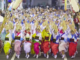 20190823_event_minamikoshigaya_awaodori_00