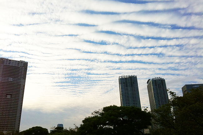 2012年10月13日（土）・14日（日）「東京大茶会2012」が浜離宮恩賜庭園で開催、行ってきました！お茶が初めての方、外国人向けの茶席など趣向を凝らしたユニークな野点も催され、子供たちをはじめ、普段、茶道に馴染みのない方もお茶の文化を楽しんでいました！