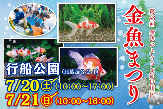 毎年7月に開催されている江戸川区の金魚まつり「第48回江戸川区特産金魚まつり」が2019年7月20日（土）・21日（日）に行船公園で開催！金魚すくい大会、金魚の飼育相談、金魚の展示即売、器具・飼料の販売、金魚アート、模擬店などが実施！子供と一緒に金魚すくい！