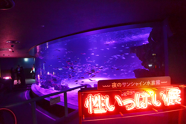 サンシャイン水族館では、海の生き物たちの「性」に関するコンテンツを体験できる夜のサンシャイン水族館「性いっぱい展」を2019年11月4日（月・振休）まで開催！生殖活動や育児の仕方はもちろん、性転換や雌雄同体、オスの出産など、生き物の不思議がいっぱい！