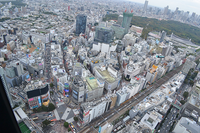 渋谷エリアでもっとも高い屋上展望空間を持つ大型複合施設「渋谷スクランブルスクエア第 I 期（東棟）」が、2019年11月1日（金）10：00にオープン！ 渋谷上空から360度の景色を眺めることができ、見下ろせば渋谷のスクランブル交差点が広がる「SHIBUYA SKY（渋谷スカイ）」「SKY EDGE（スカイ エッジ）」は眺望はもちろん開放感も抜群！子どもと一緒に楽しめる。