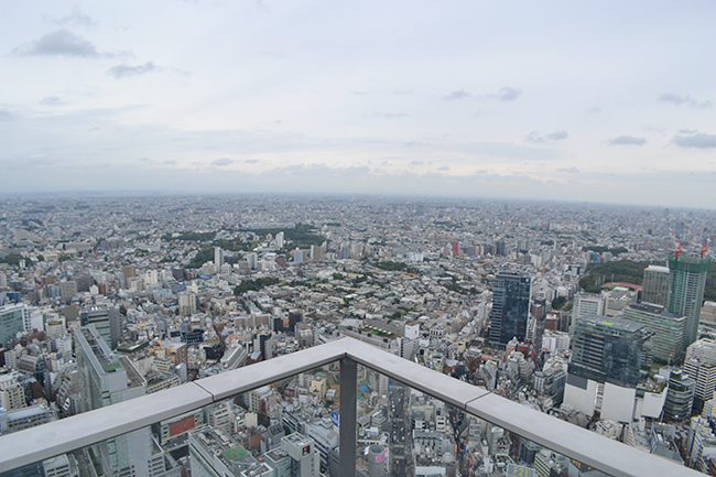 渋谷エリアでもっとも高い屋上展望空間を持つ大型複合施設「渋谷スクランブルスクエア第 I 期（東棟）」が、2019年11月1日（金）10：00にオープン！ 渋谷上空から360度の景色を眺めることができ、見下ろせば渋谷のスクランブル交差点が広がる「SHIBUYA SKY（渋谷スカイ）」「SKY EDGE（スカイ エッジ）」は眺望はもちろん開放感も抜群！子どもと一緒に楽しめる。